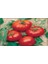 Doğal Brandywine Red Domates Tohumu(20 Adet) 1