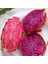 Doğal Içi Kırmızı Ejder Meyvesi(Pitaya) Tohumu (100 Tohum) 1