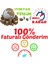 Liquidambar Styraciflua Amerikan Sığlası Tohumu (10 Tohum) 5