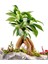 Kaya Saksıda Bonsai 2