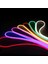 Vıp Profesyonel Cep Kontrol Kumandalı IP65 Neon Hortum LED Işık 5 Metre Renkli LED Işık Dıs Mekan 5
