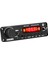 2X100W 12V Amplifikatör Ses Çalar Bluetooth 5.0 Mp3 Dekoder Kartı Mp3 Çalar Araba Fm Radyo Modülü Tf USB Mikrofon Kayıt Çağrı (Yurt Dışından) 2