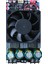 Yeni Dijital Amplifikatör Kartı ZK-3002 TPA3255 Saf Arka Seviye Dijital Stereo 600W Amp Ses Müzik Güç Amplifikatör Kartı (Yurt Dışından) 1