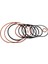 D15844 O-Ring Yeniden Yapım Kiti ve 647956-00 Tetik Valf Tertibatı Dewalt IÇIND51845 D51822 641011-00 D51823 647620-00 (Yurt Dışından) 2