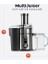 Multijuicer Whole Fruit&Vegetable Katı Meyve Sıkacağı 2