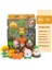 Plants Vs Zombies Oyuncakları Komple Çizgi Film Bebek Hediye Seti (Yurt Dışından) 1