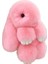 Üç Model Boyutu Rex Tavşan Kürk Sevimli Kabarık Tavşan Anahtarlık Gerçek Kürk Anahtar Zincirleri Çanta Oyuncaklar Bebek Güzel Anahtarlık Kolye Renk: Pembe / Boyut: 13 cm (Yurt Dışından) 1