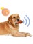 Buffer Köpekler İçin Oyuncak Tavuk Budu 3