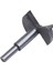 Hss Forstner Ucu Ahşap Matkapları Sanatsal Matkaplar Boru Matkapları 55 mm (Yurt Dışından) 4