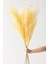 Yapay Pampas 100 cm Tek Dal Sarı 5'li 5