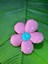 12X12 cm Parlak Pembe Çiçek Saaç Tokası Yaka Iğnesi Broş Aksesuar 4
