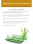 Kuru Ciltler İçin Nemlendirici ve Yatıştırıcı Besleyici Aloe Veralı Kavunlu El Maskesi 5