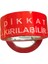 Dikkat Kırılır Bant 45X100 mt 2