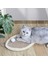 Sisal Aşınmaya Dayanıklı Kedi Tırmalama Oyuncağı 1