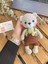 Amigurumi Ayıcıkarılı 2