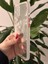 iPhone 12 Pro Max Şeffaf Simli Kılıf 3