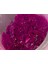 Power Bait Natural Scent Glitter - Nymphe(25645) 2