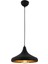 4106 Modern Avize, 60 W, Siyah 1