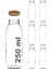 250 ml Metal Kapaklı Meyve Suyu, Meşrubat, Limonata Şişesi 250 cc Cam Şişe 6 Adet (Altın/gold) 1