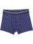 Wild Erkek Pamuklu 2'li Boxer - WD2004 3