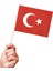 Battal Çıtalı Bayrak Ay Yıldız 20 Adet 2