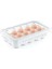 Hijyenik Yumurta Saklama Kabı 15 Bölmeli Kapaklı 4