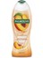 Smoothies Şeftali 450 ml 1