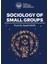 Sociology Of Small Groups - Kamil Kaya 1