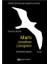 Epsilon - Martı - Richard Bach 1