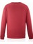 Galatasaray Erkek Sweatshirt E251076 5
