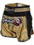 Muay Thai Şortu Retro Neo Gold MT3075 2