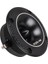 TX-49F Dom Tweeter 3