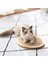 Vantuzlu Ahşap Kedi Tırmalama Mobilyası 2