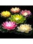 Dekor Düğün Mumları 6 Adet Işıklı Su Mumu Suda Yüzen Lotus Çiçekleri Pilli Mum Water Floating Candle 4