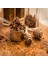 Propolis Boğaz Spreyi / Propolis, Nane, Okaliptus, Karanfil, ve Mentol içeren Likit Takviye Edici Gıda 5