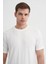 Ekru Erkek T-Shirt 4203 2