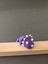 2'li Sevimli Hareketli Eklemli Triceratop Magnet 1