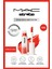 Strobe Beam Işıltılı Çok Amaçlı Likit Allık - Apricot Jelly 4.3 ml 1