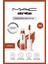 Strobe Beam Işıltılı Çok Amaçlı Likit Allık - Lavalite 4.3 ml 1