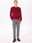 Bisiklet Yaka Slim Fit Bordo Erkek Kazak HM703237 3