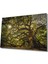 Ağaç Orman Güneş Yeşil Cam Tablo, Ev ve Ofis Duvar Dekoru 1