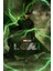 Loki (2021) 1 ( Tv - Dizi ) (Folyo / Afiş / Poster) ( 70 cm x 100 cm ) 1