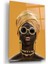 Afrikalı Kadın Cam Tablo 1