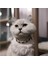 Kedi Köpek Için Orijinal Miyuki Yılbaşı Kolye / Takı 2