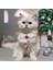 Kedi Köpek Için Bahar Dalı Mor Yonca Kolye / Takı 2