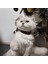 Kedi Köpek Için Kiraz Çiçeği Kolye / Takı 2