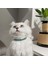 Kedi Köpek Için Sarmaşık Kristal Yeşil Kolye / Takı 2