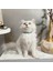 Kedi Köpek Için Sarmaşık Kristal Yeşil Kolye / Takı 3