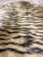 Tiger Süet Taban, Yıkanabilir Lüks Kaplan Kürk Halı Post Kahverengi 100x150 5