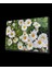 - Papatya Çiçek Cam Tablo Daisy Flower 1